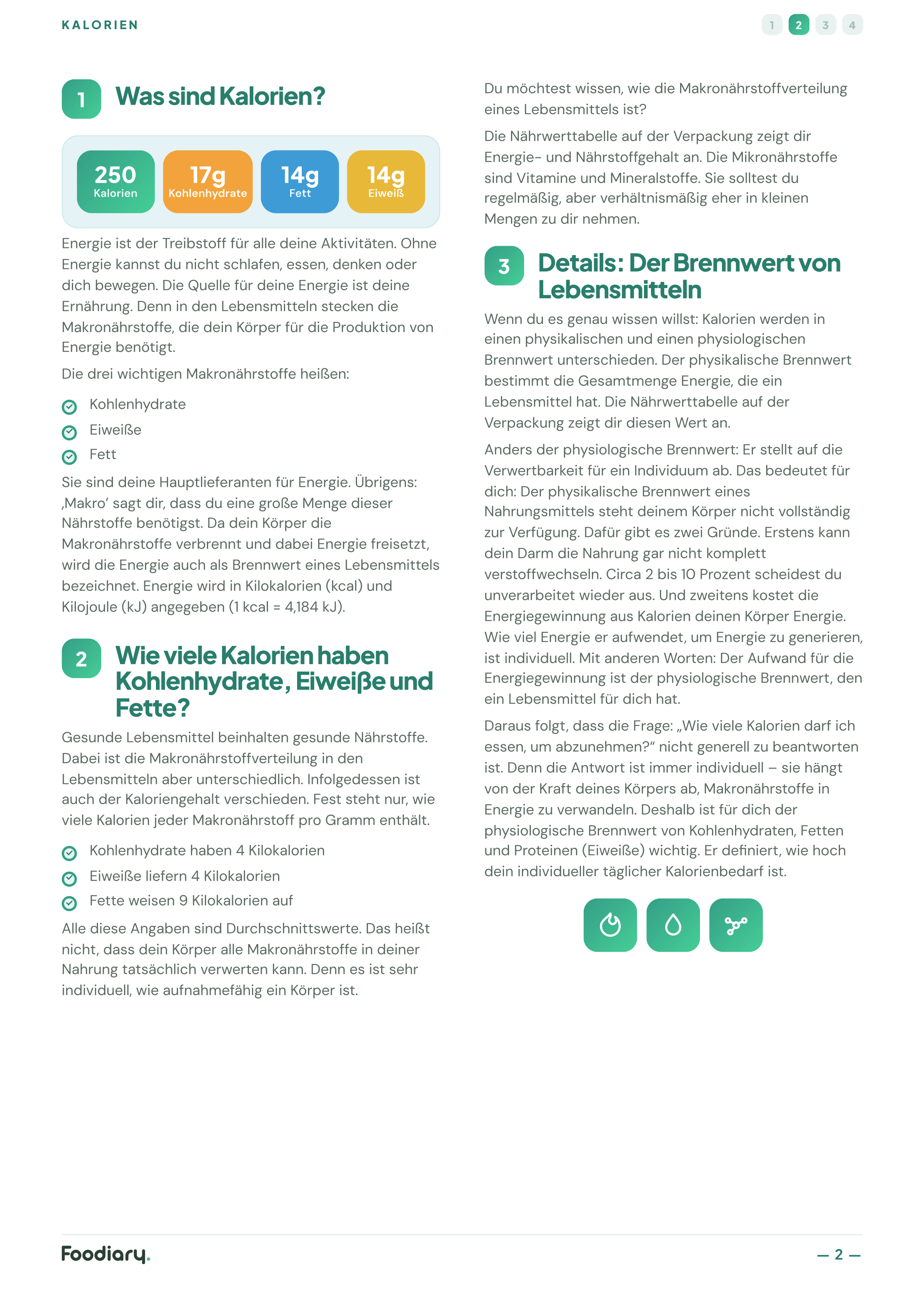 Handout Kalorien, Seite 2